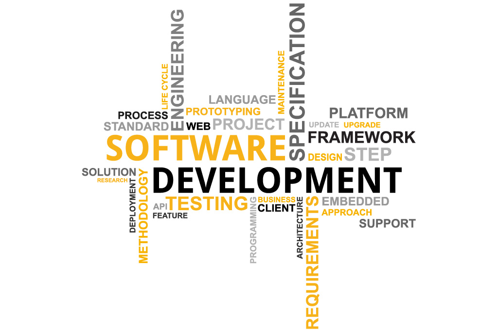 What We Do- Custom Development